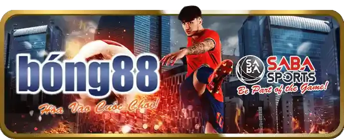 Hình ảnh các tổ chức hỗ trợ cờ bạc chuyên nghiệp
